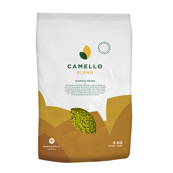 empaque pasto camello blend