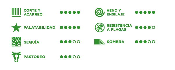 caracteristicas pasto cobra