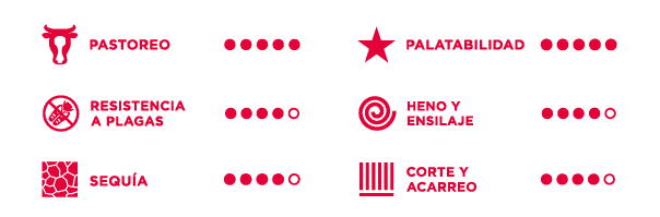 caracteristicas del pasto mestizo