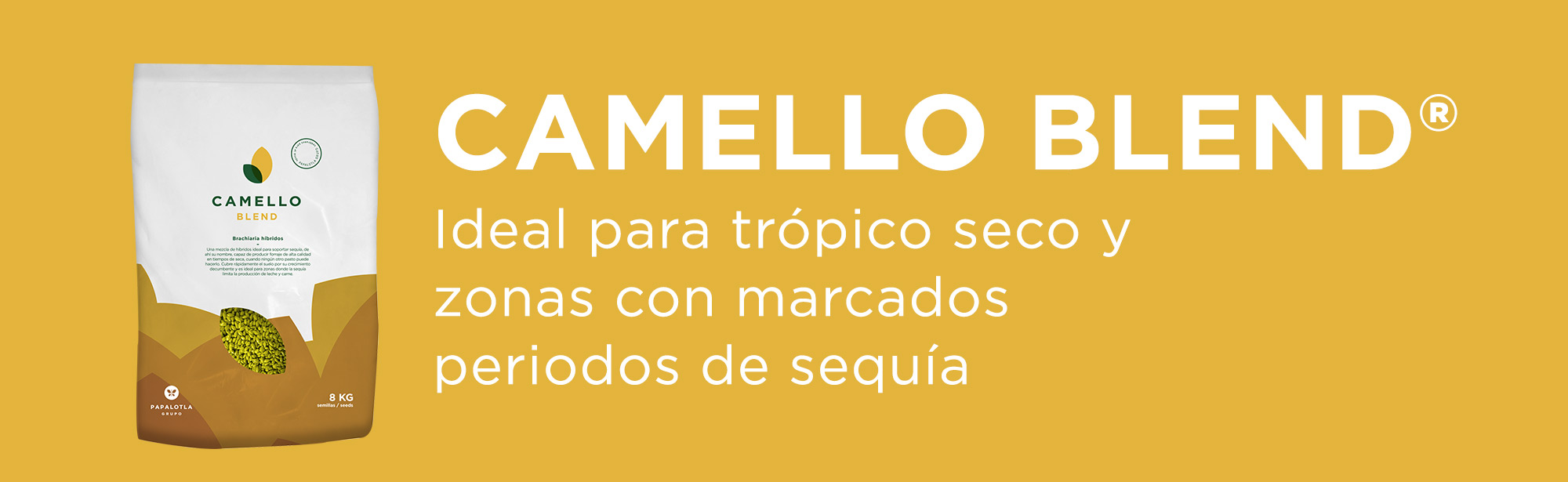 semillas papalotla